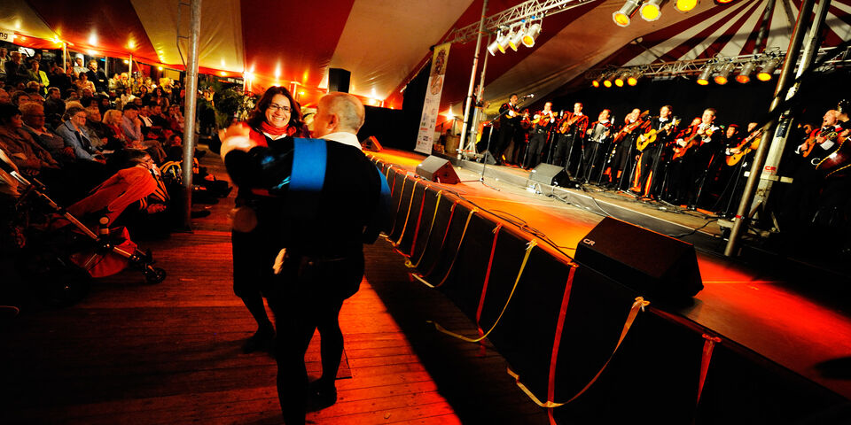 Het Tunafestival in 2011. Archieffoto | Bart van Overbeeke