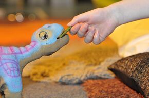 Pleo dino-robot. Foto | Titus Nachbauer