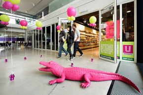 SPAR University in Flux. Foto | Bart van Overbeeke SPAR University in Flux. Foto | Bart van Overbeeke