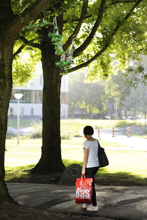 Groene sneakers boven het Limbopad. Foto | Bart van Overbeeke