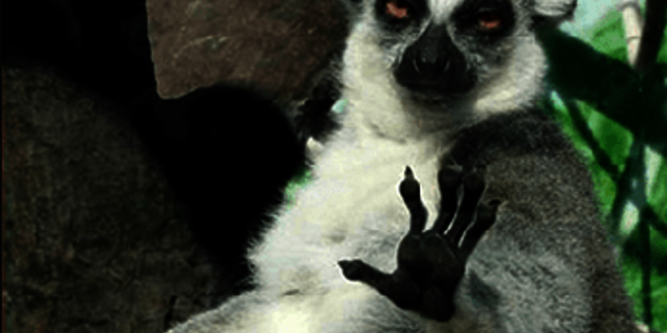 Universiteiten wijzen Rekenkamer de deur