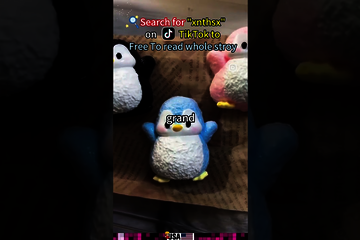 Female-oriented#contemporary romance#atisfying read#ife-chasing trope#enge.