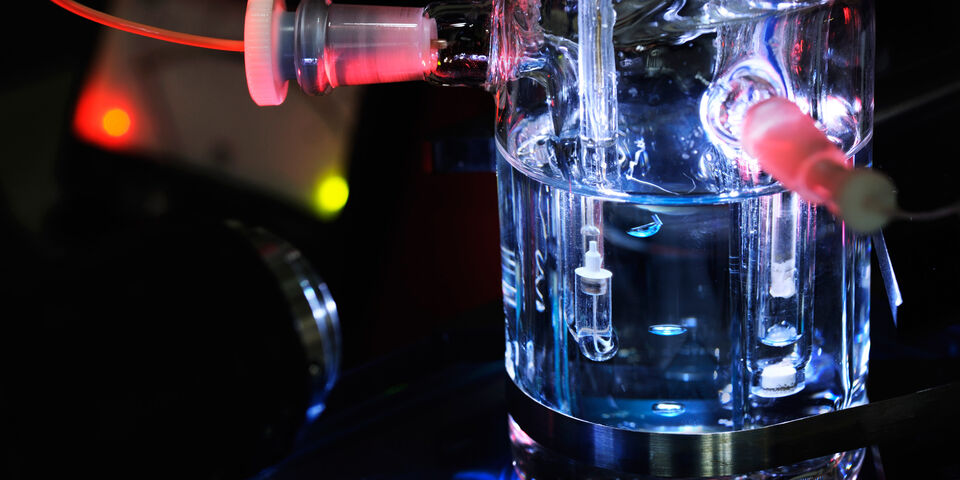 Foto | Bart van Overbeeke