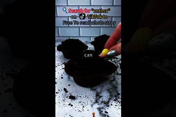 Female-oriented #torturous #pretending to be poo.