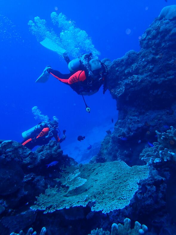 Een duiktrip. Foto | Privé-archief Maarten van Asseldonk