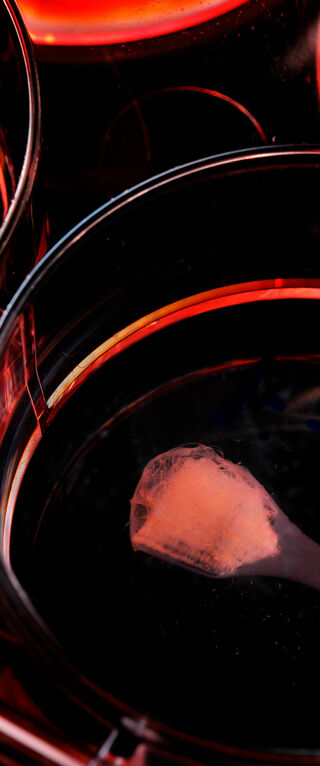 [Translate to English:] Foto | Bart van Overbeeke