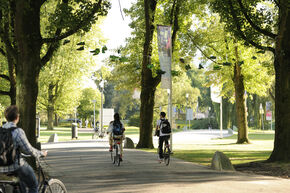 Groene sneakers boven het Limbopad. Foto | Bart van Overbeeke