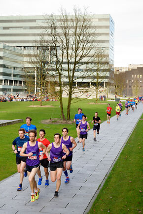 Dommelloop 2017. Foto | Bart van Overbeeke