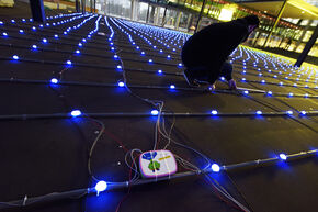 The PCB's were hiding in lunchboxes. Photo | Bart van Overbeeke The PCB's were hiding in lunchboxes. Photo | Bart van Overbeeke