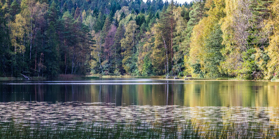 Een van de duizend Finse meren.