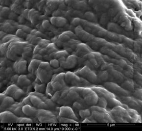 De gesloten structuur van het katoen. Foto | Technische Universiteit Eindhoven