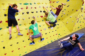 De linkerhand op... Foto | Bart van Overbeeke De linkerhand op... Foto | Bart van Overbeeke