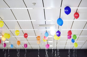 Foto | Bart van Overbeeke Foto | Bart van Overbeeke