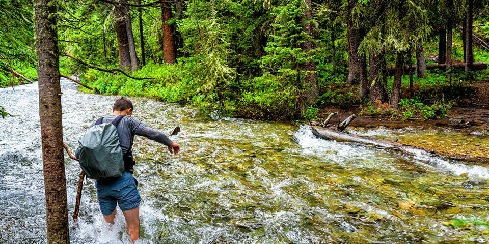 Kristi Blokhin / Shutterstock