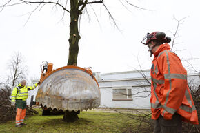 Hap... Foto | Bart van Overbeeke Hap... Foto | Bart van Overbeeke