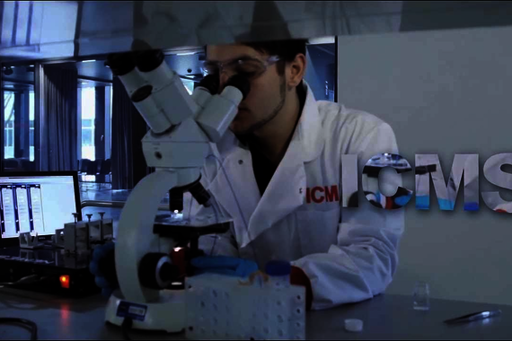 Een introductie van het Instituut voor Complexe Moleculaire Systemen.
Video | Veldkamp Produkties