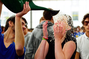 FOTO | Bart van Overbeeke