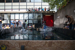 De test. Foto | Lieke Vermeulen