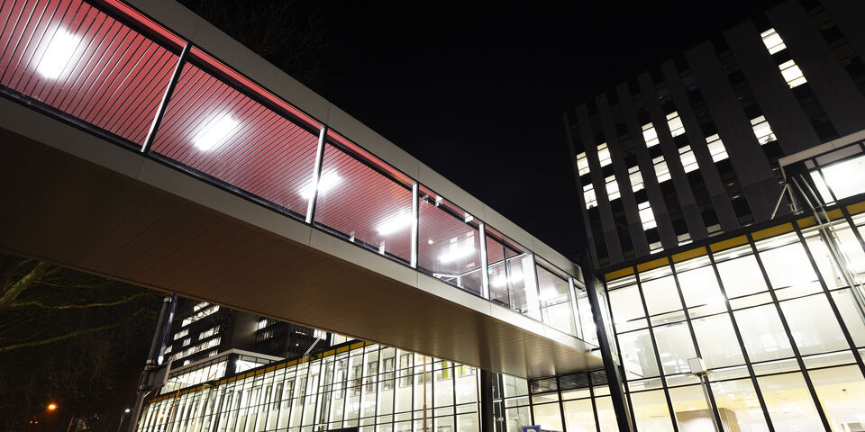 Foto | Bart van Overbeeke