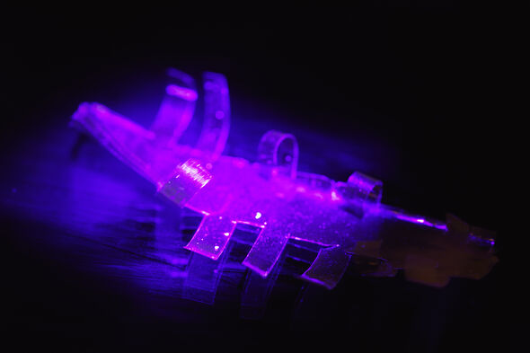 Foto | Bart van Overbeeke