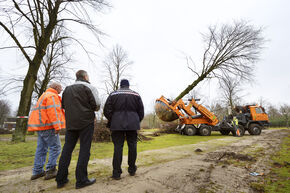 Slik... Foto | Bart van Overbeeke Slik... Foto | Bart van Overbeeke