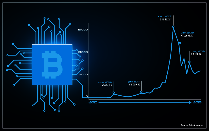 Illustration | Natasha Franc
