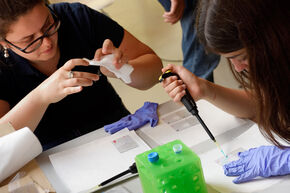 Test van de biosensoren op vrijdag. Foto | Bart van Overbeeke