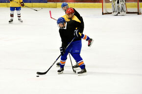 Foto | Bart van Overbeeke