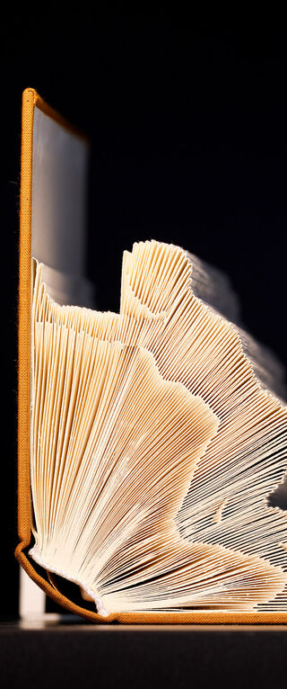 Book End van Anne Fey. Foto | Bart van Overbeeke