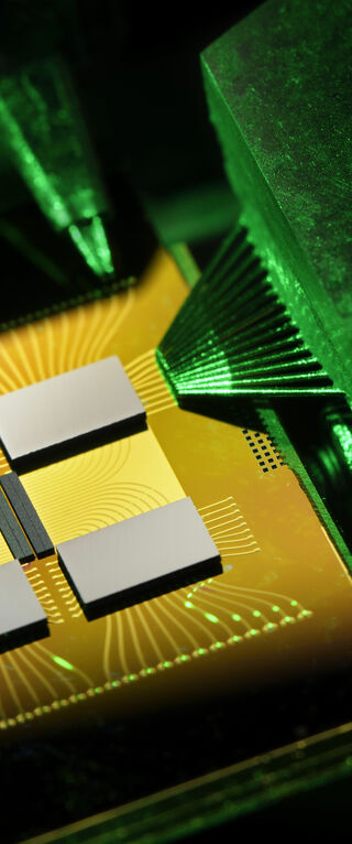 Foto | Bart van Overbeeke