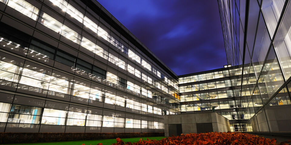 Foto | Bart van Overbeeke