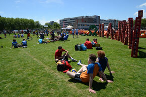 Foto | Martin Memelink