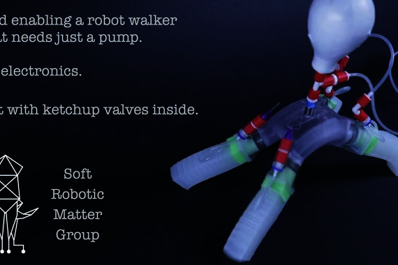 Video | Luuk van Laake